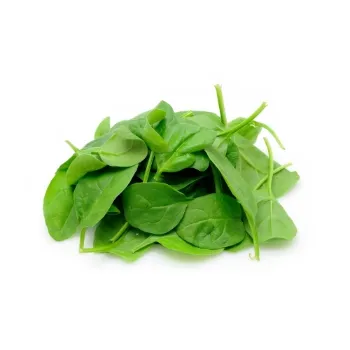 Spinach (7)-7628667-51462.webp